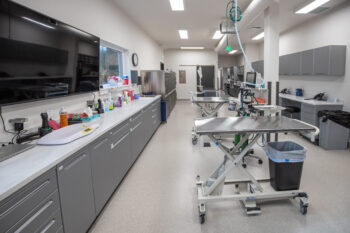 Veterinary Surgical Care Center 18